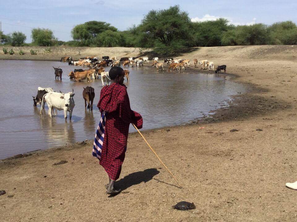 Esilalei Walking